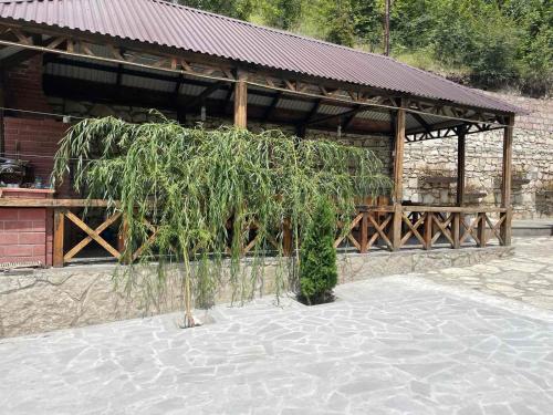 Green Paradise in Ijevan
