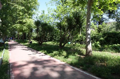 Borbera Holiday House - image 3