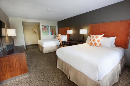 2 queen beds