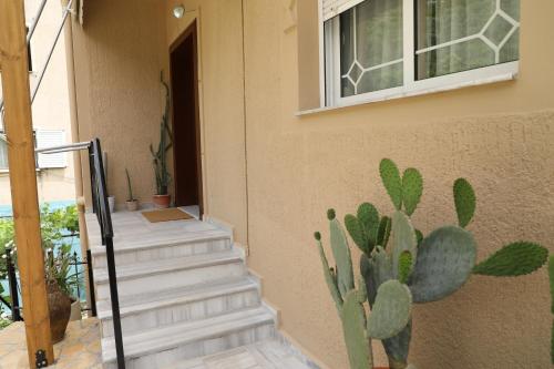 Jasmine Sol Retreat in Delvinë
