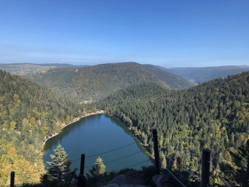 A környék, Domaine La Bonne Dame - Merle, au coeur des Vosges in Plainfaing