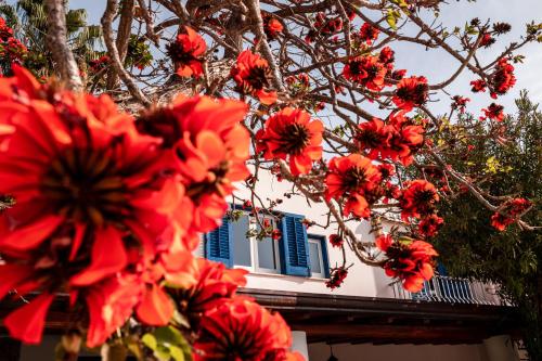 Hotel Residence La Villetta - image 13
