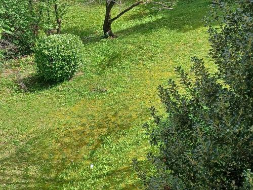 Studio M proche des thermes de Royat Chamalières à pieds