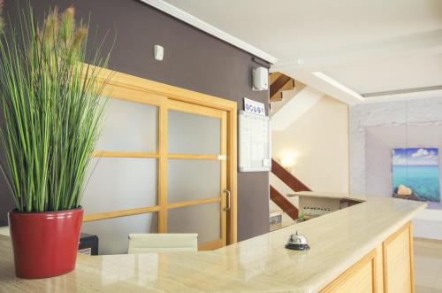 大堂, 阿祖拉尼地中海酒店 (azuLine Hotel Mediterraneo) in 濱河聖埃烏拉利亞