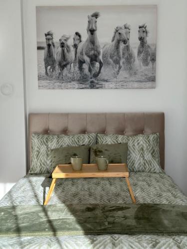 Apartman12 Banja Luka