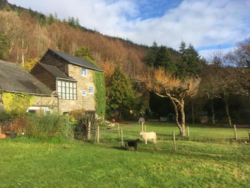 Zunanjost, Swn y nant Barmouth road A496 Llanelltyd in Pen-y-bryn