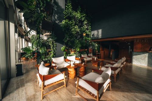 לובי, M Boutique Hotel - Designed for Adults in פאפוס