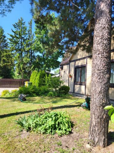 Sunnyhouse in Jurmala