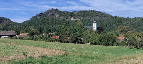 Ferienapartment 21 in Gohrisch