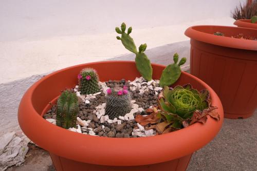 Sunset Beach House Buggerru