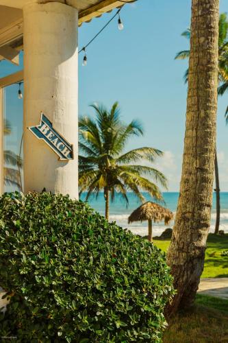 Kilátás, Surf and Yoga Retreat for Groups Near Cab! in Las Canas
