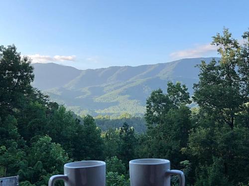Tennessee Roots by Stony Brook Cabins in Gatlinburg, USA