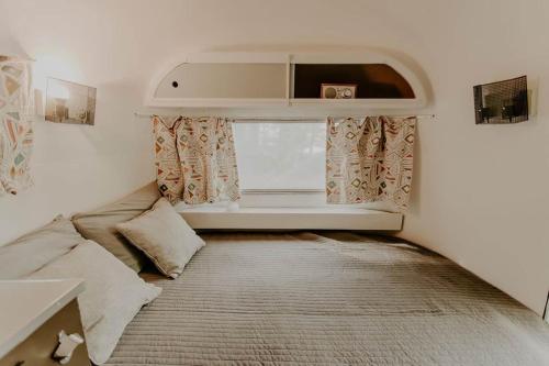 Shinytiny Airstream Near Smokies in Cosby, USA