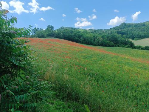 Monte Bibele