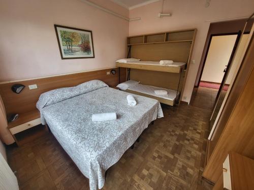 Double or Twin Room room in Hotel Colibri