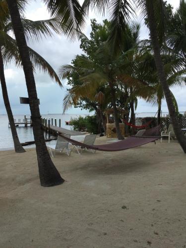 The Pelican Key Largo Cottages In Fl