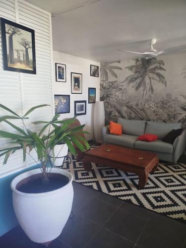 Un air de voyage, T2 à 150 m du lagon - Location saisonnière - Saint-Leu