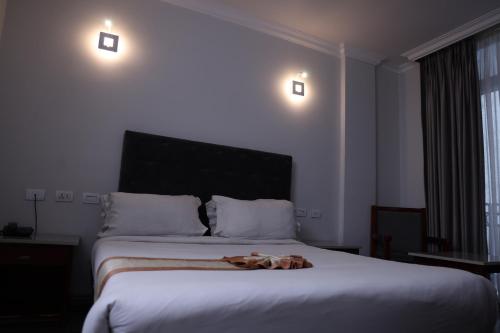Trinity Hotel, Addis Ababa (photo 10)