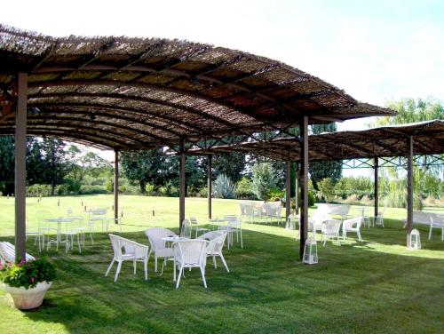 Hotel San Camilo - image 13