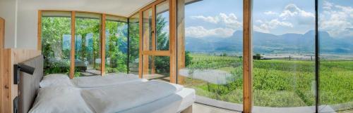FELDHOF - Agri-apartment-suites, Termeno (foto 4)