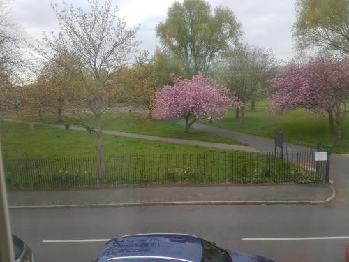 A Quiet & Comfortable 4 Bedroom house, Mánchester (foto 6)