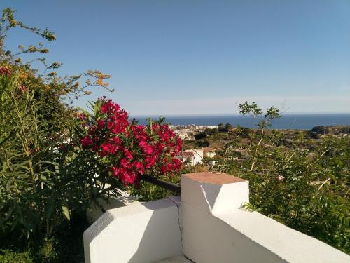 Finca Guay, Frigiliana (fotografie 7)