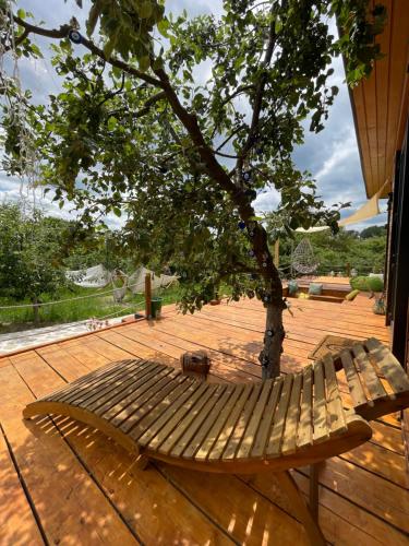 Cuibul din livadă (Cuibul din livada) in Vulcana De Sus