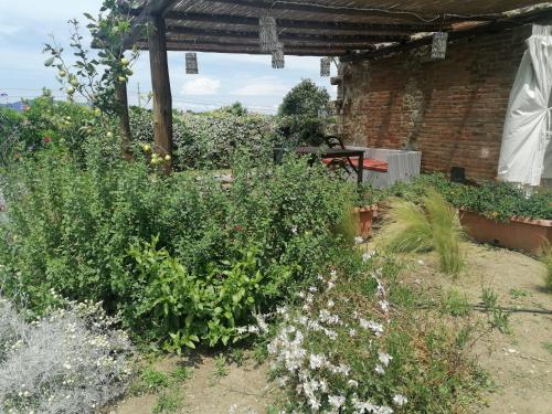  Affitti Brevi Toscana - Ospitalità in Campagna in Talamone