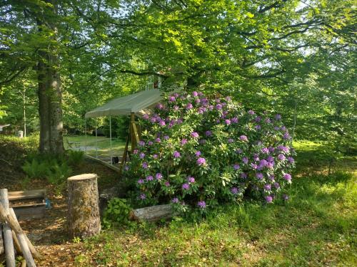 Gamla Lararbostaden in Lenhovda