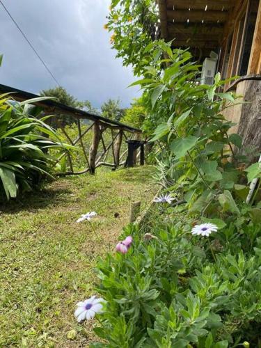 Rustic Cabin in Salento