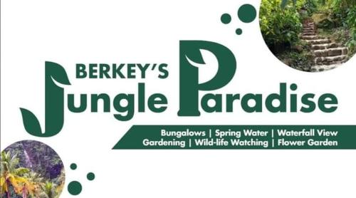 Berkey's Jungle Paradise Resort