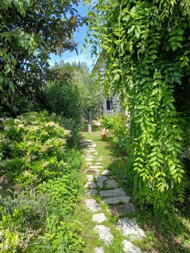 Appartement indépendant privatif avec jardin