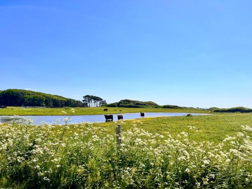 Denmark's Most Charming Beach Cottage