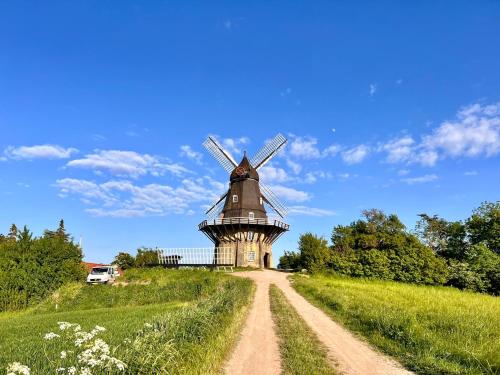 Denmark's Most Charming Beach Cottage