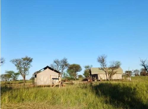 Green Garden Serengeti Luxury Tented Camp