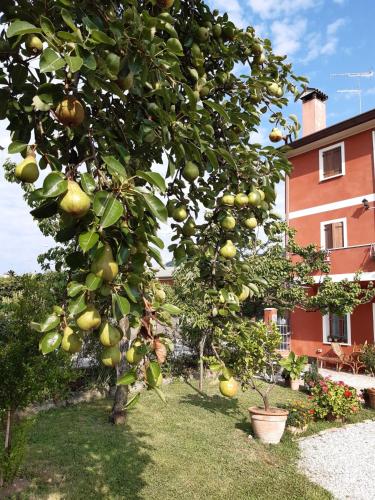 B&B Casa del Conte