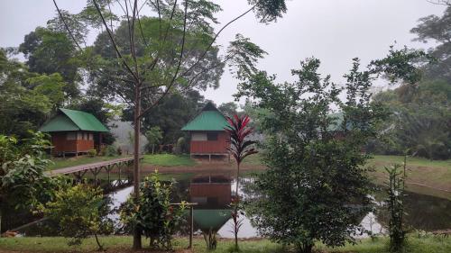 Sunrise of Tambopata in เปอร์โต้ มัลโดนาโด้