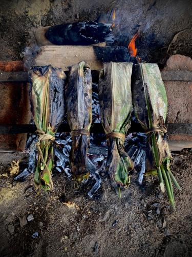Habitación en Santuario Natural (Habitacion en Santuario Natural) in Canelos