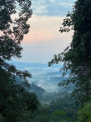 Habitación en Santuario Natural (Habitacion en Santuario Natural) in Canelos