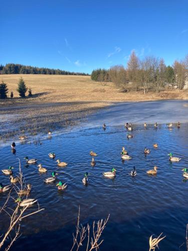Chata Pod Vysokým kamenem (Chata Pod Vysokym kamenem) in Vejprty