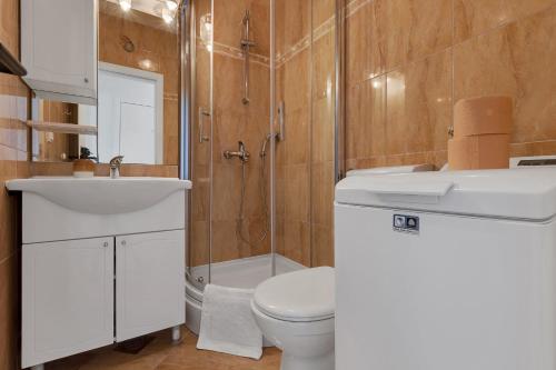 One-Bedroom Apartment image 6