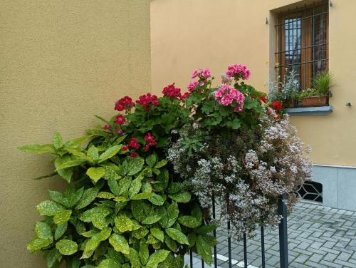 Appartamenti Borghetto San Donato 105 - image 11