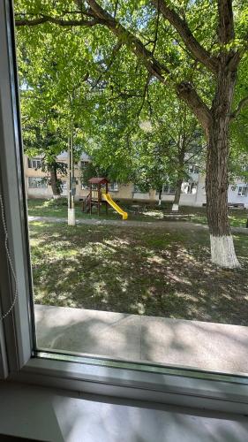 Programlehetőségek, Alice Apartment in Roman