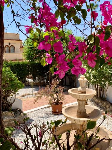 LA BARRACA - Ideal para familias y adultos responsables en busca de tranquilidad no se permiten fiestas, Mojácar (foto 6)
