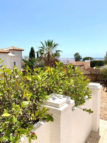 LA BARRACA - Ideal para familias y adultos responsables en busca de tranquilidad no se permiten fiestas, Mojácar (foto 7)