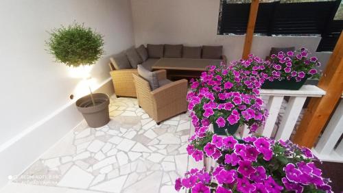 Villa Queen - image 6