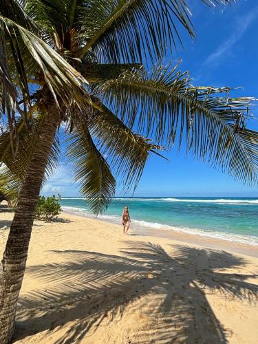 La Maison Créole du Flamboyant - Proche des Plages - Location saisonnière - Anse-Bertrand