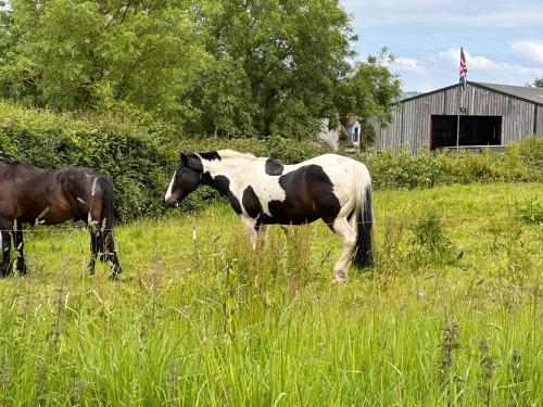 View, Sticklinch Farm Cottage Near Glastonbury town & walking distance for festival 4 beds sleeps 5 in West Pennard