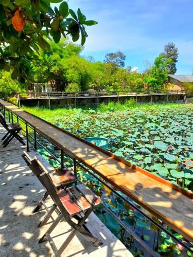 TINA LAKESIDE AO ĐÔI Homestay Phước Hải