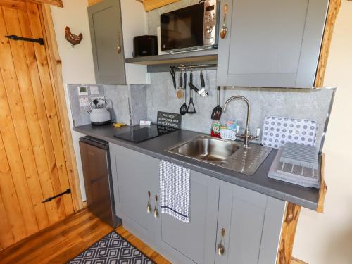 外部景觀, Moel Y Parc in 登比